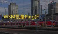 WSM批量Ping(ForExcel) 1.42 免费版